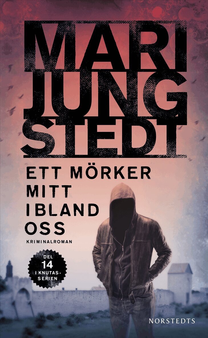Mari Jungstedt - Ett mörker mitt ibland oss, E-bok