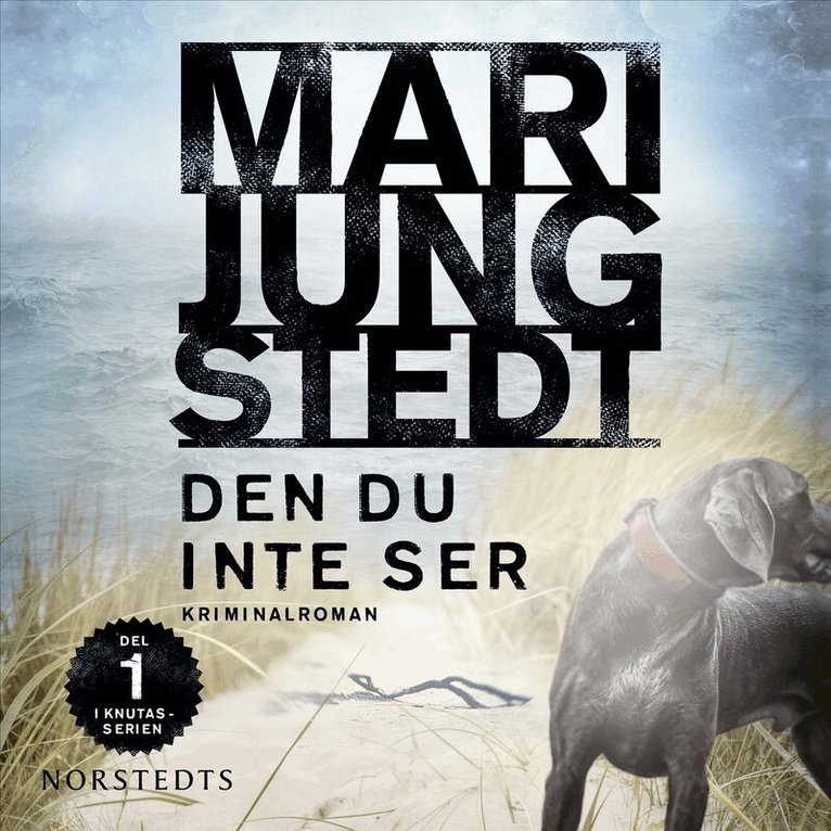Mari Jungstedt - Den du inte ser, Ljudbok