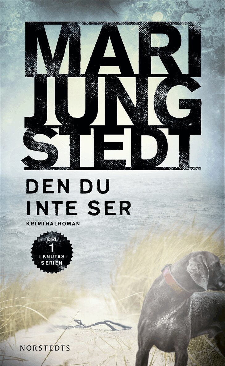 Mari Jungstedt - Den du inte ser, E-bok