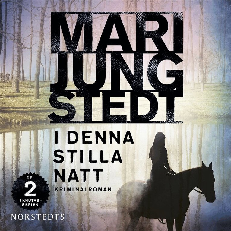 Mari Jungstedt - I denna stilla natt, Ljudbok