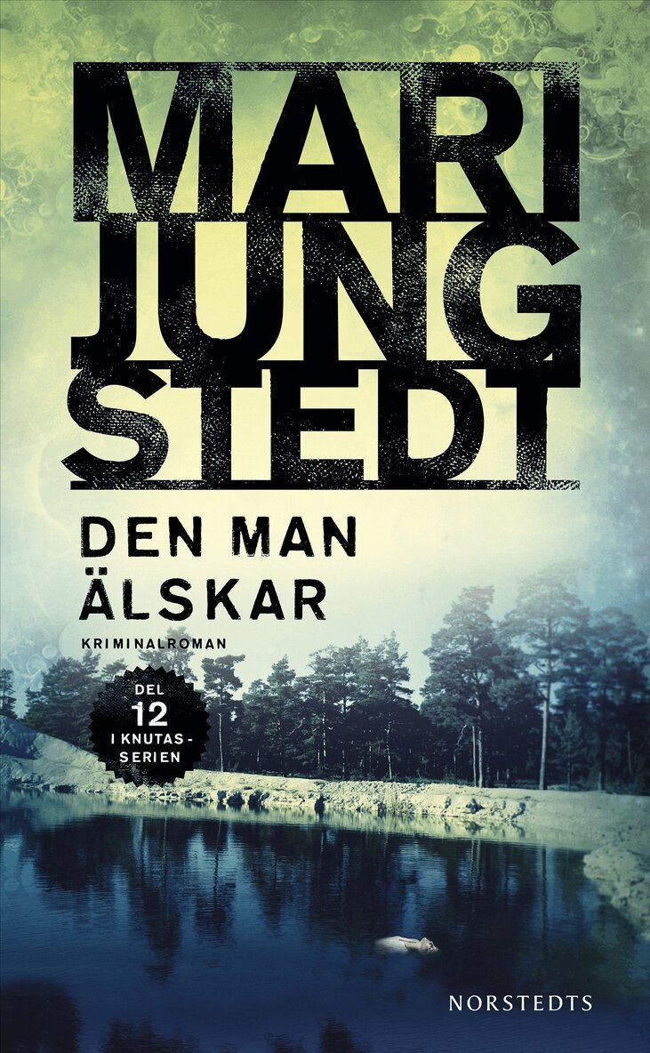 Mari Jungstedt - Den man älskar, E-bok