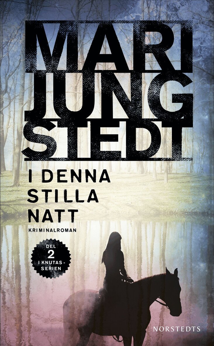 Mari Jungstedt - I denna stilla natt, E-bok