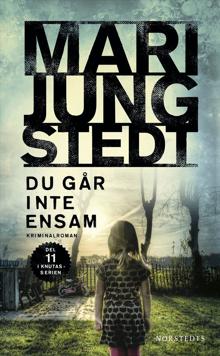 Mari Jungstedt - Du går inte ensam, E-bok