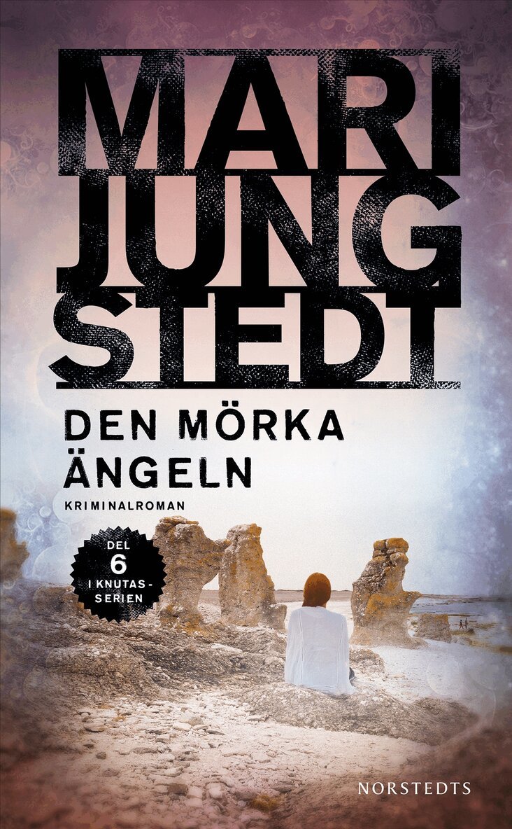 Mari Jungstedt - Den mörka ängeln, E-bok