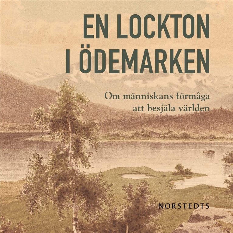 David Thurfjell - En lockton i ödemarken : om människans förmåga att besjäla världen, Ljudbok