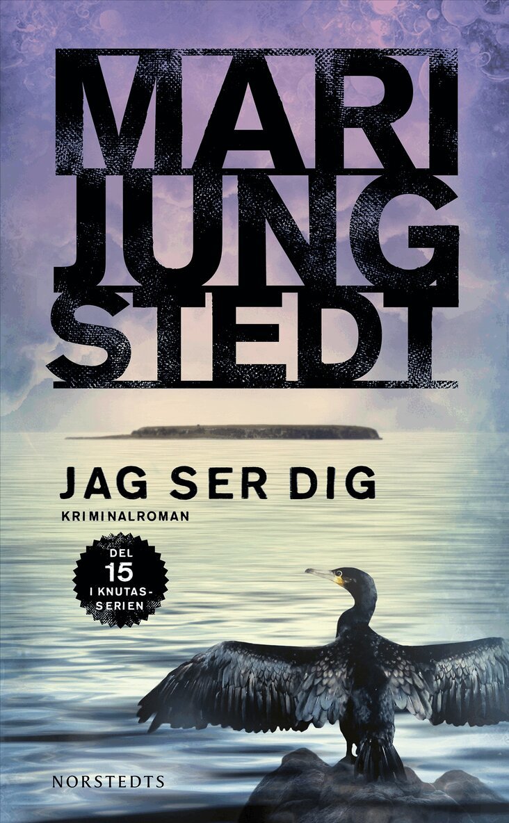 Mari Jungstedt - Jag ser dig, E-bok