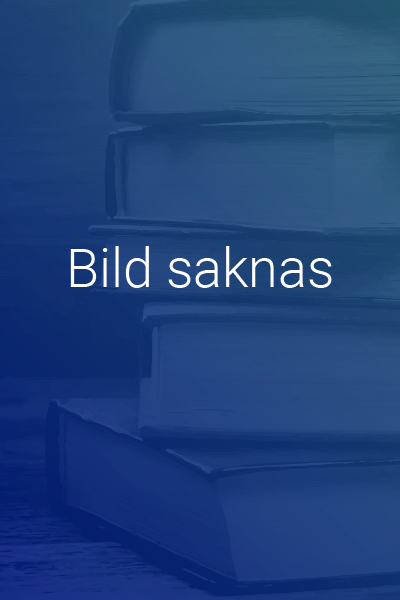 Nigel E Simmonds - Juridiska principfrågor : Rättvisa, gällande rätt och rättigheter, Häftad