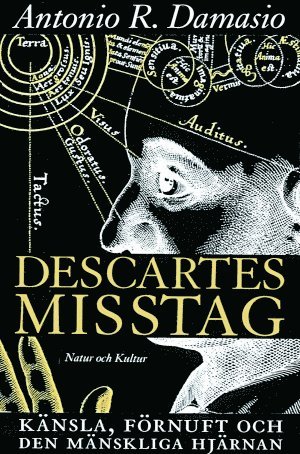 Antonio R Damasio - Descartes misstag, Häftad