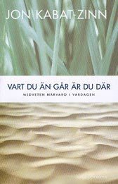 Vart du n gr r du dr : medveten nrvaro i vardagen