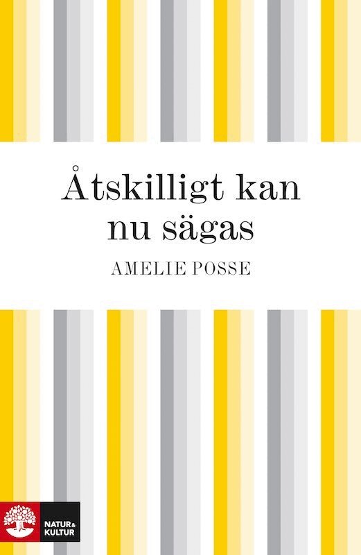 Amelie Posse - Åtskilligt kan nu sägas, E-bok