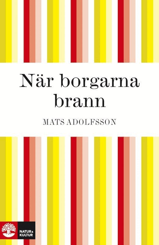 Mats Adolfsson - När borgarna brann, E-bok