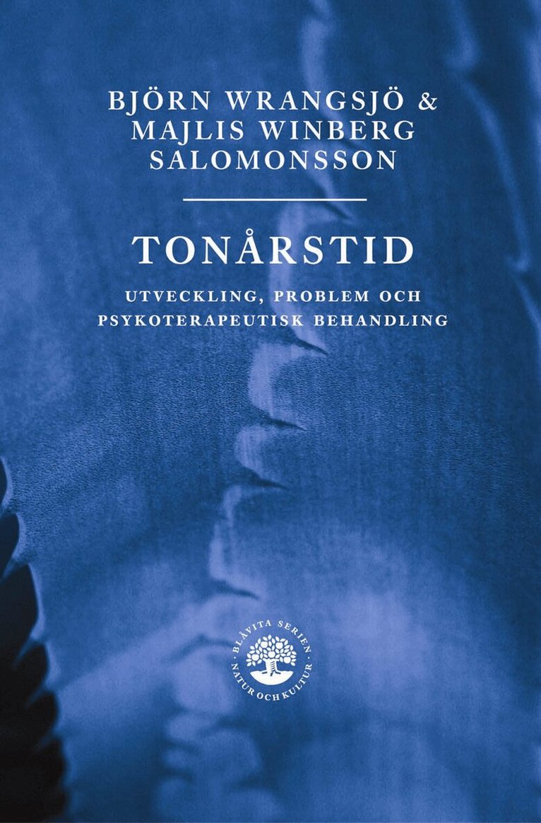 Majlis Winberg Salomonsson, Björn Wrangsjö - Tonårstid, E-bok