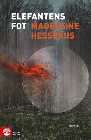 Madeleine Hessérus - Elefantens fot, Inbunden