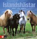 Islandshästar : skötsel - hälsa - gångarter