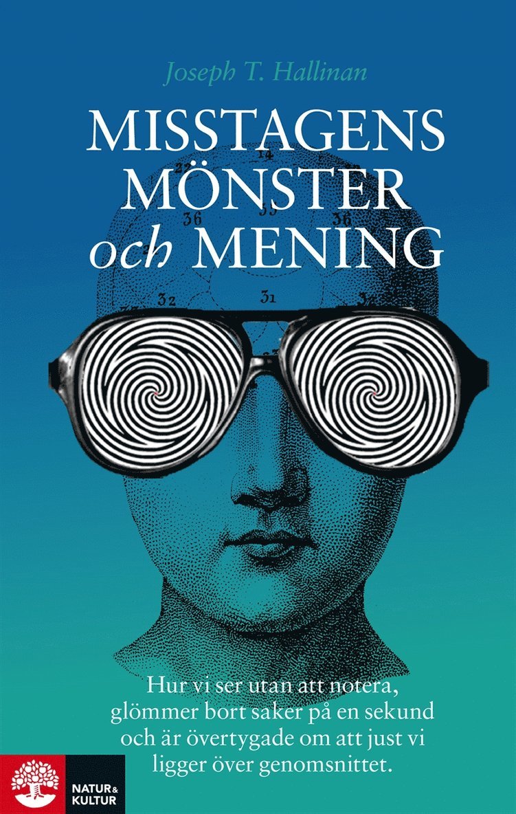 Joseph T. Hallinan - Misstagens mönster och mening : hur vi ser utan att notera, glömmer bort saker på en sekund och är övertygade om att just vi ligger över genomsnittet, E-bok