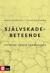 Sj�lvskadebeteende : Uppt�cka, f�rst� och behandla