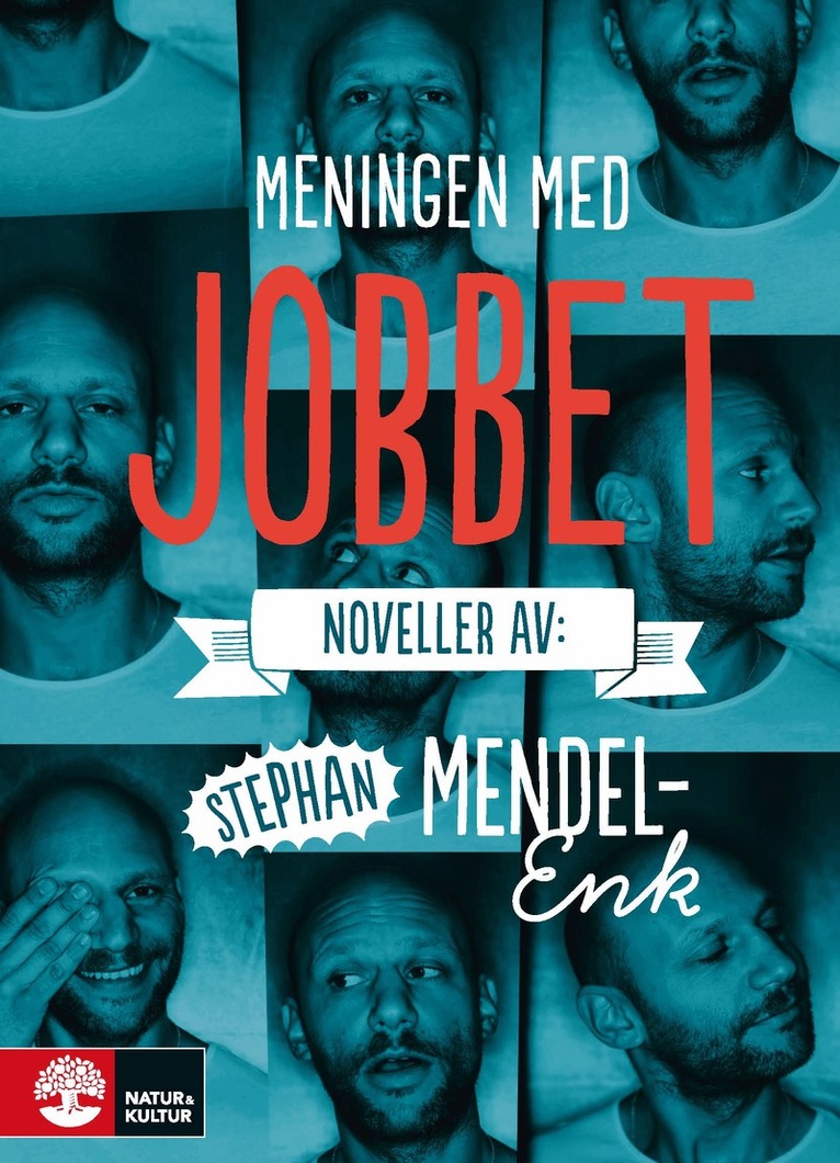 Stephan Mendel-Enk - Meningen med jobbet : noveller, E-bok