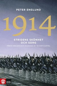 e-Bok 1914 Stridens skönhet och sorg  Första världskrigets inledande år i 68 korta kapitel