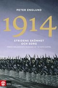 1914 Stridens skönhet och sorg : Första världskrigets inledande år i 68 korta kapitel