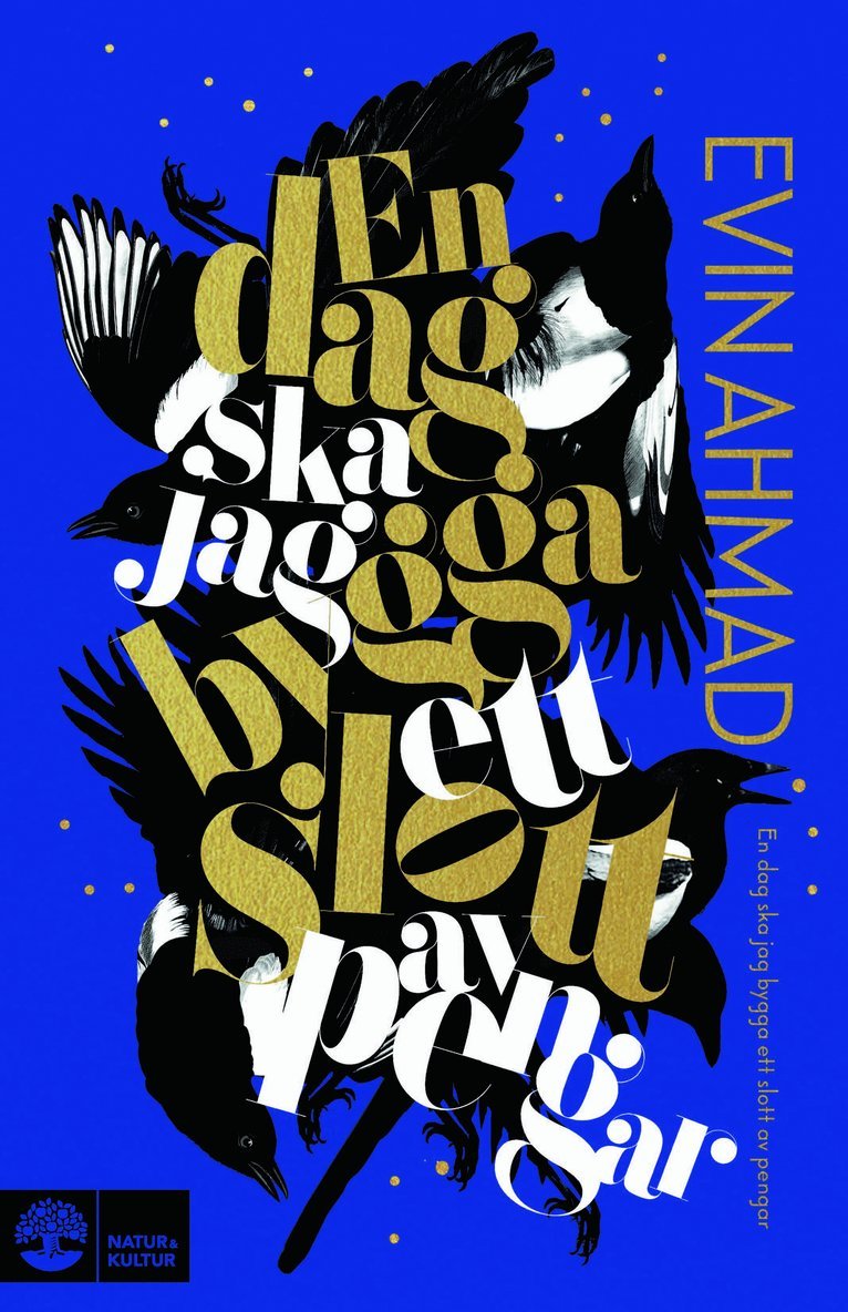 Evin Ahmad - En dag ska jag bygga ett slott av pengar, E-bok