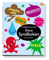 e-Bok Stora syndboken