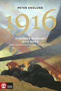 Stridens sk�nhet och sorg 1916 : f�rsta v�rldskrigets trejde �r i 106 korta kapitel