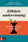 Effektiv undervisning : meningsfullt lrande