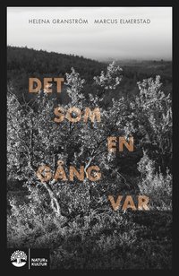 e-Bok Det som en gång var <br />                        E bok