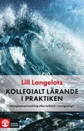 Kollegialt lrande i praktiken : kompetensutveckling eller kollektiv korrigering?