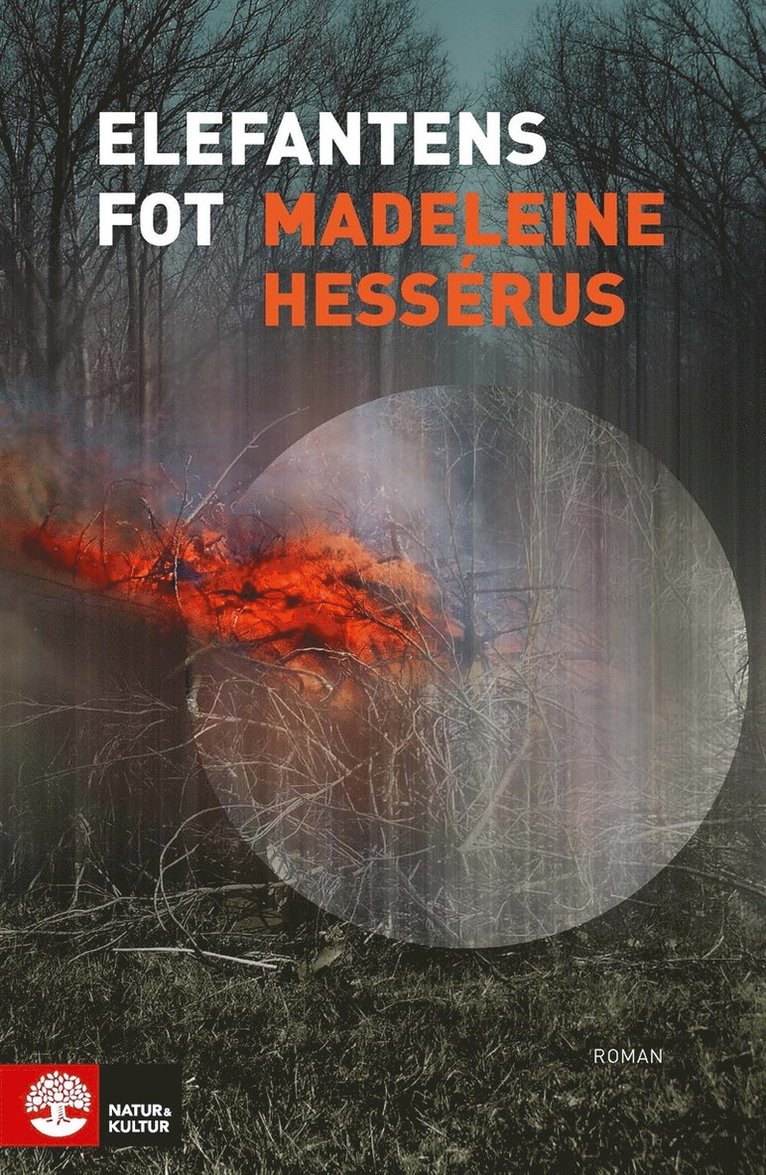 Madeleine Hessérus - Elefantens fot, E-bok