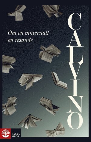 Italo Calvino - Om en vinternatt en resande, Häftad