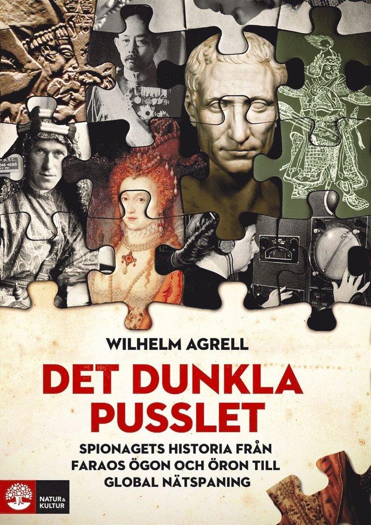 Wilhelm Agrell - Det dunkla pusslet : Spionagets världshistoria, E-bok