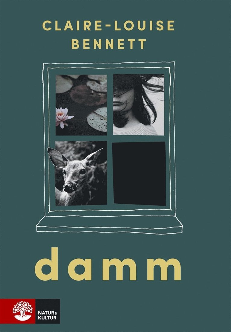 Claire-Louise Bennett - Damm, E-bok