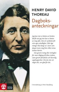 e-Bok Dagböcker