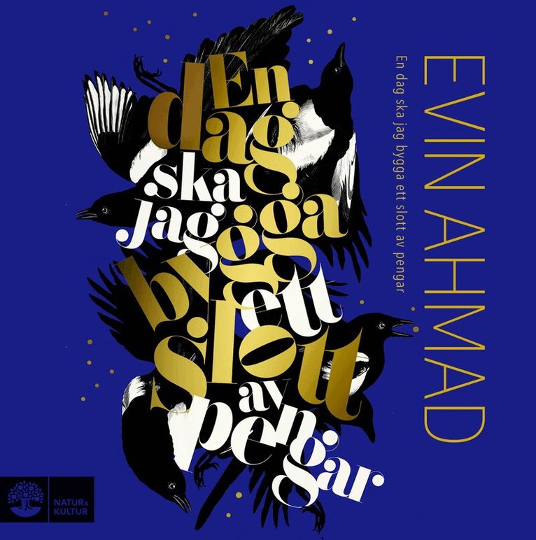 Evin Ahmad - En dag ska jag bygga ett slott av pengar, Ljudbok