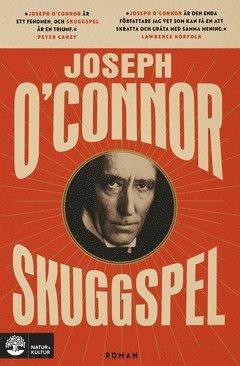 Joseph O'Connor - Skuggspel, E-bok