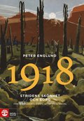 Stridens sk�nhet och sorg 1918 : f�rsta v�rldskrigets sista �r i 88 korta kapitel
