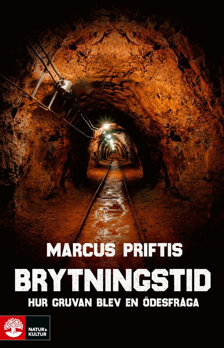 Marcus Priftis - Brytningstid : hur gruvan blev en ödesfråga, E-bok