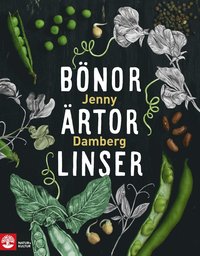 B�nor, �rtor & linser