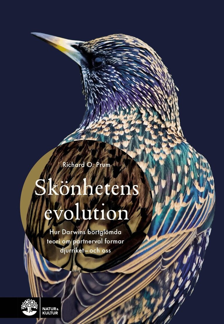 Richard O. Prum - Skönhetens evolution : hur Darwins bortglömda teori om det sexuella urvalet formar djurriket - och oss, E-bok