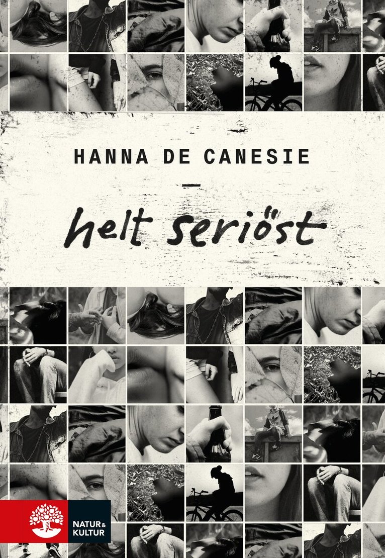 Hanna de Canesie - Helt seriöst, E-bok