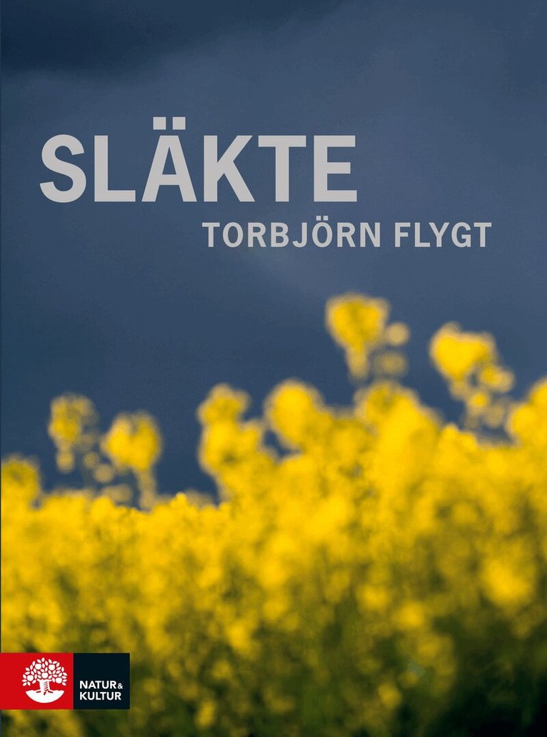 Torbjörn Flygt - Släkte, E-bok