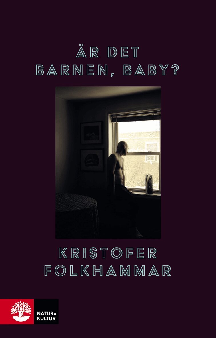 Kristofer Folkhammar - Är det barnen, baby?, E-bok
