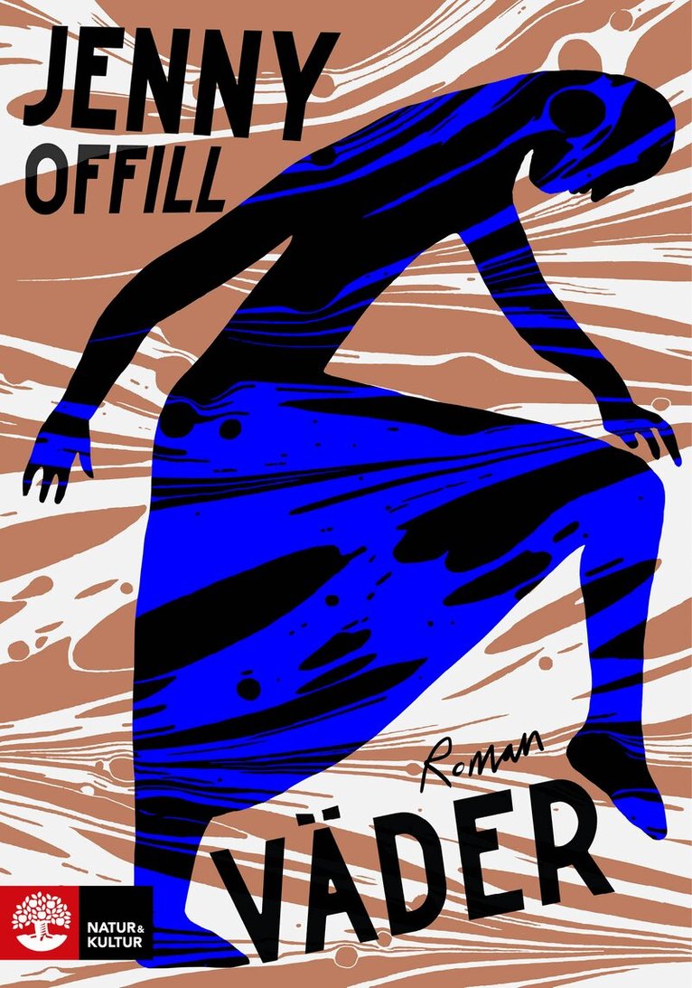 Jenny Offill - Väder, E-bok