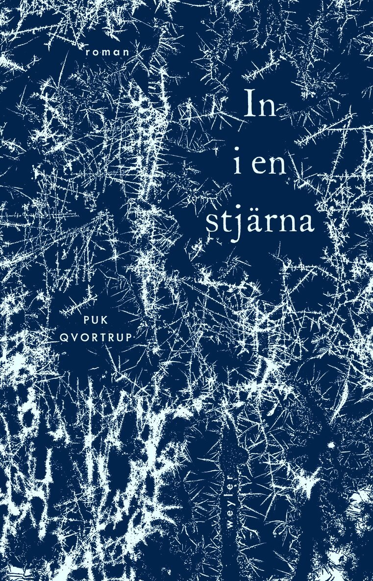 Puk Qvortrup - In i en stjärna, E-bok