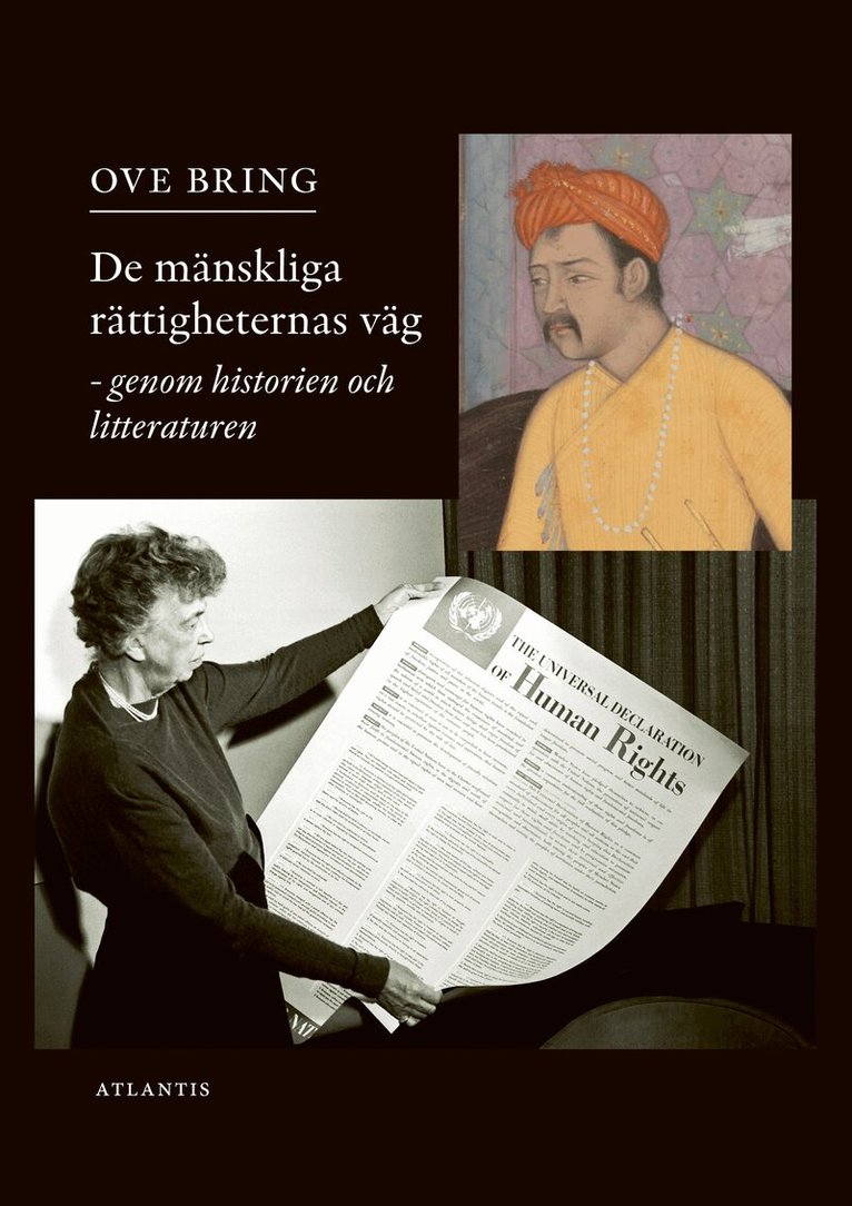 Ove Bring - De mänskliga rättigheternas väg : genom historien och litteraturen, E-bok