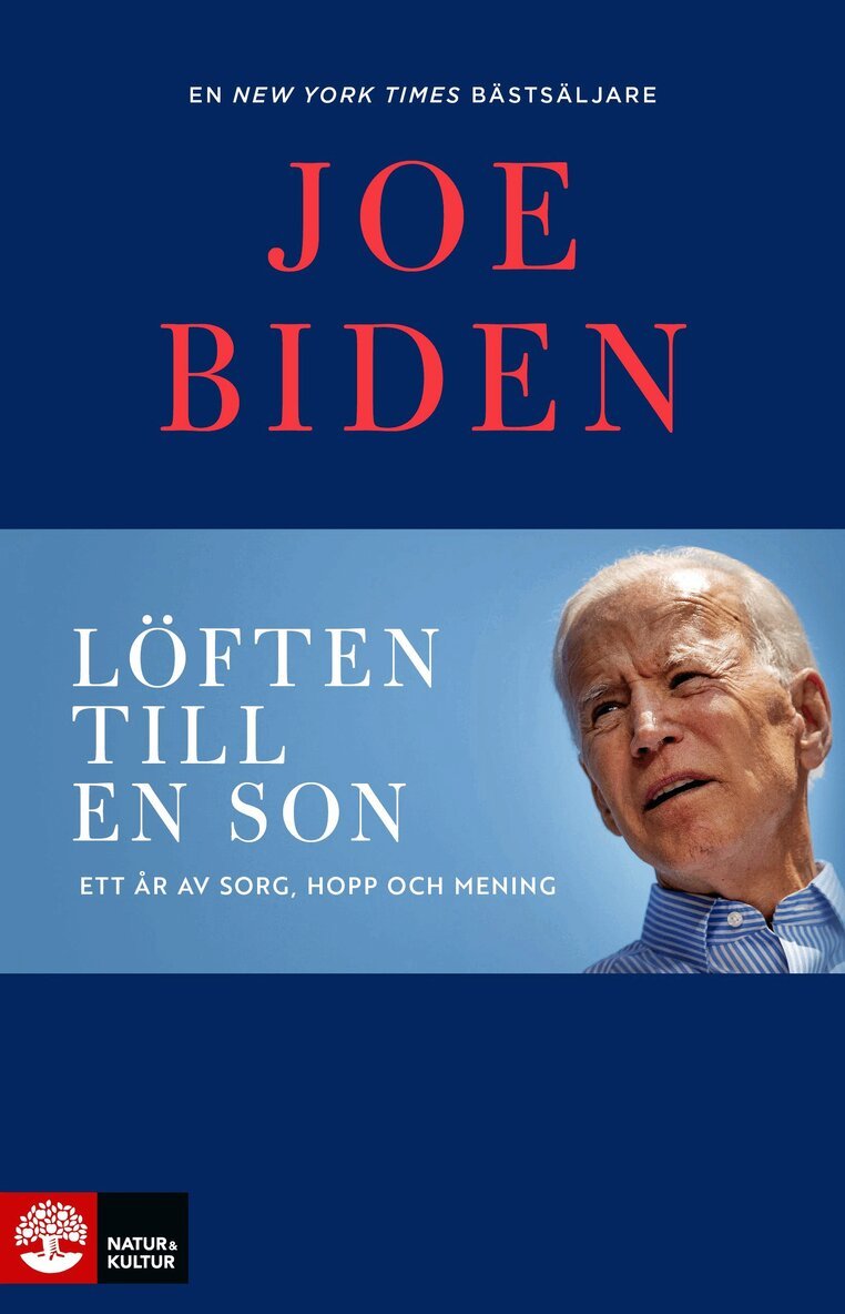 Joe Biden - Löften till en son : ett år av sorg, hopp och mening, E-bok