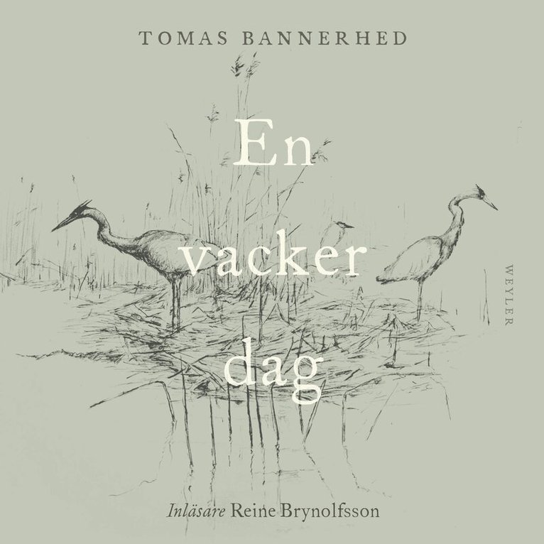 Tomas Bannerhed - En vacker dag, E-bok