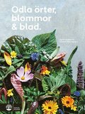 Odla �rter, blommor & blad