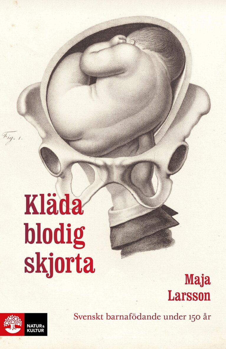 Maja Larsson - Kläda blodig skjorta : svenskt barnafödande under 150 år, E-bok